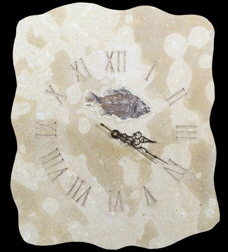 Tall Clock With Cockerellites Fish Fossil - Wyoming #51441